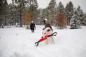 Preview: Ruffwear Pacific Loop Toy Sockeye Red Preview: Ruffwear Pacific Loop Toy Sockeye Red